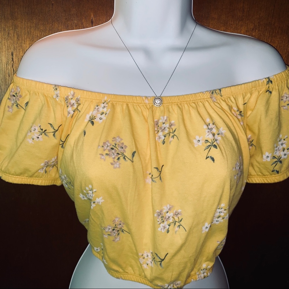 ☀️🌿 NWT Hollister Crop Top 🌿☀️